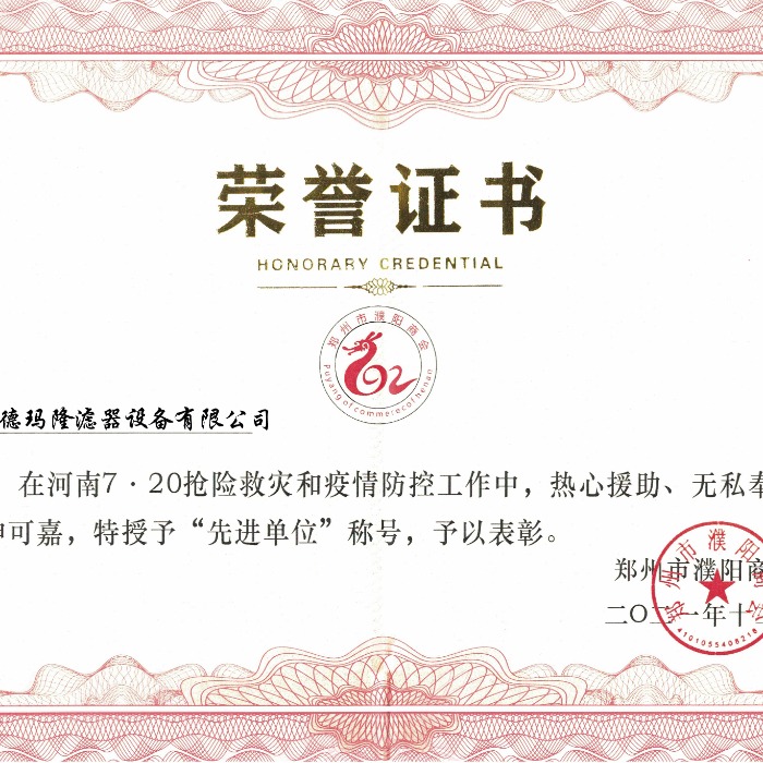 德玛隆荣获抗洪防疫先进单位